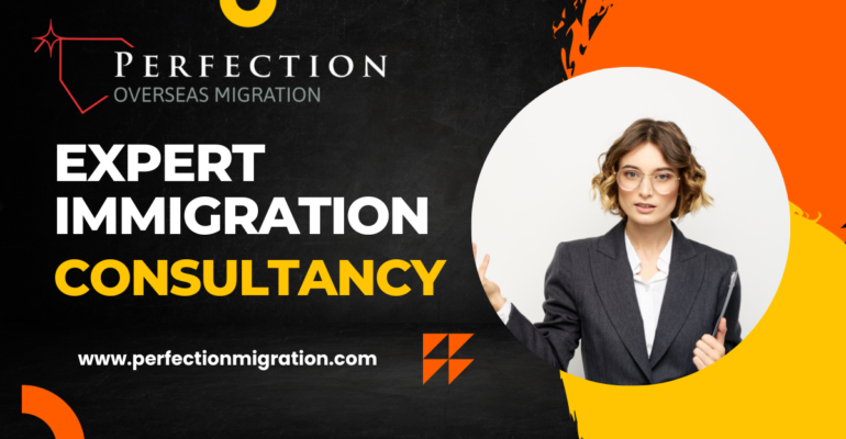 Expert Immigration Consultant