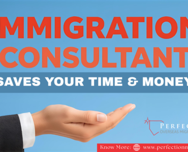 Immigration Consultant Can Save You Time